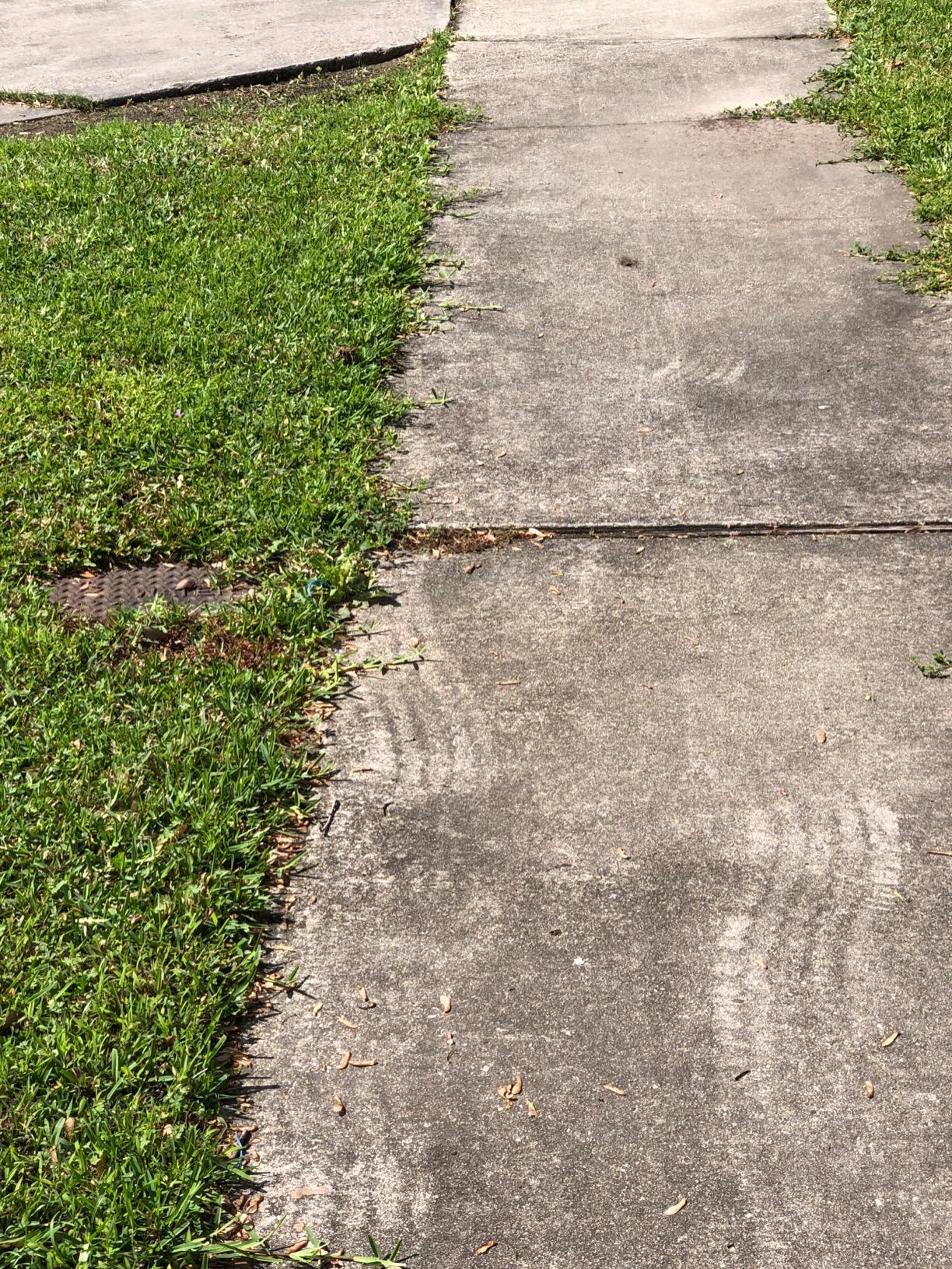 BLACK+DECKER Lawn Edger Trencher 2 in 1, 12 Amp 7.5 in. Electric Edger Lawn Tool for Landscaping and Trench Digger, 3 Height Settings, Corded (LE760FF) customer photo 2