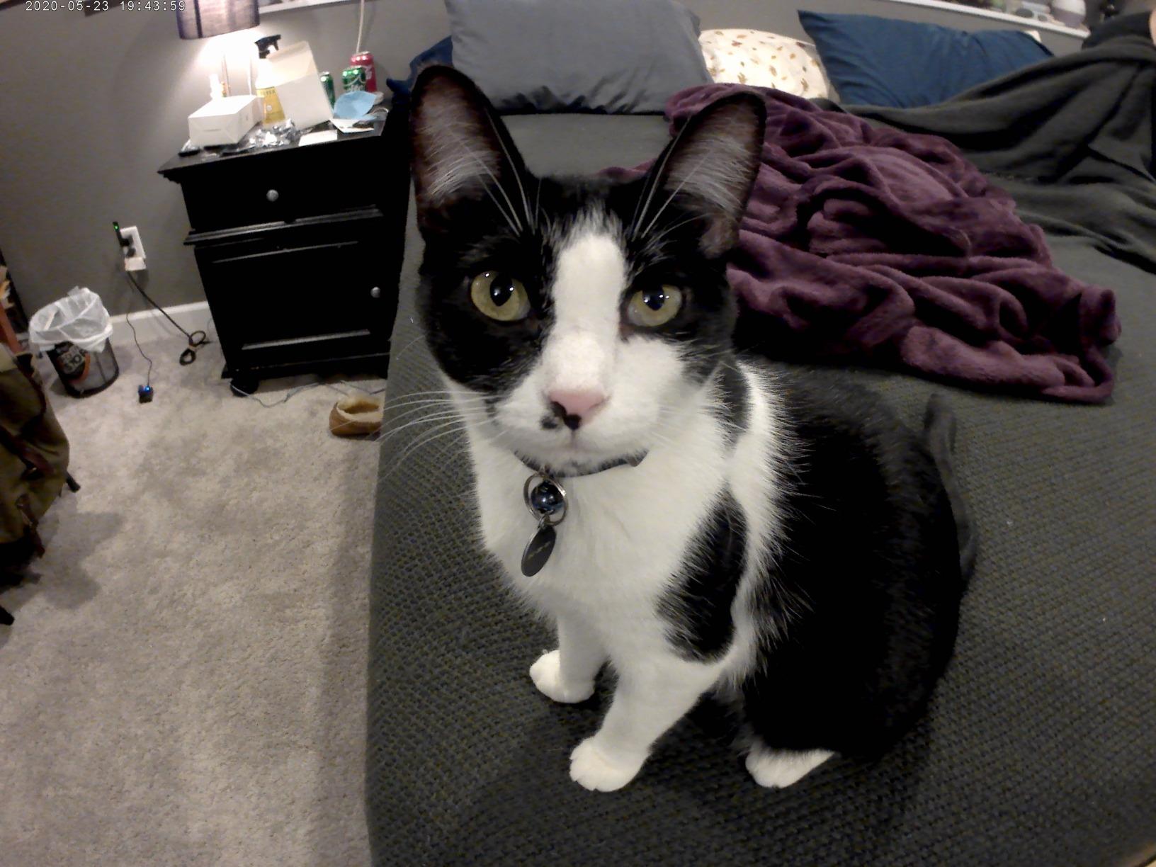 Dragon Touch Vision 3 4K Action Camera - 20MP Underwater Waterproof Camera with 4X Zoom 170° Wide Angle WiFi Sports Cam with Remote 2 Batteries and Mounting Accessories Kit customer photo 1