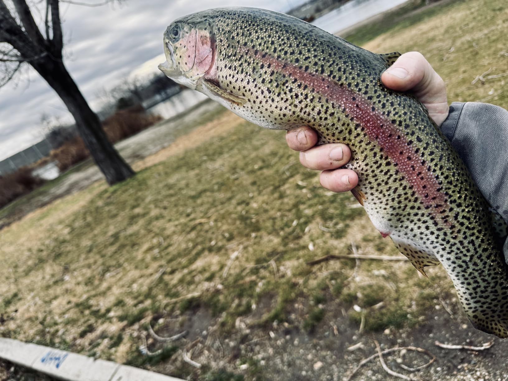 Deeper Start Fish Finder - Portable and Depth Finder for Recreational Fishing from Dock, Shore, Bank or Kayak | Castable Deeper Smart Sonar with Free User Friendly App customer photo 1