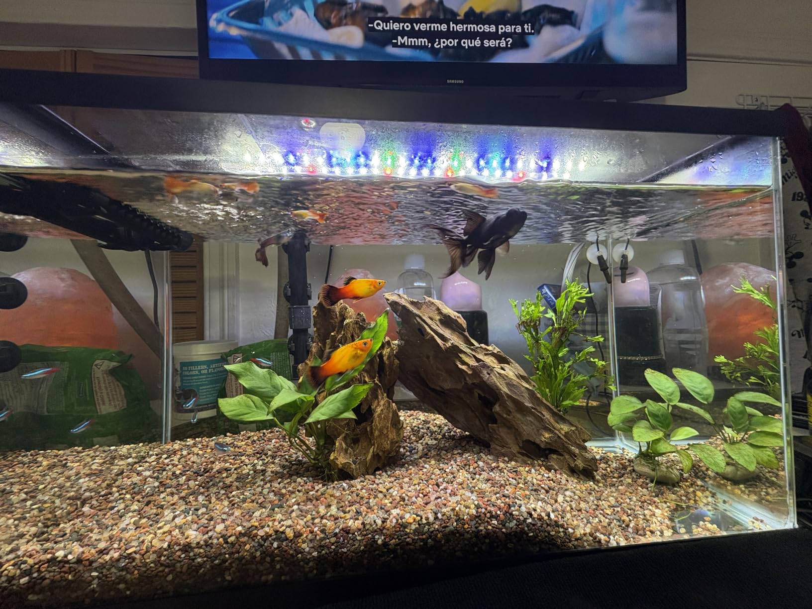 NICREW ClassicLED Plus LED Aquarium Light with Timer, 15 Watts, for 18 to 24 Inch Fish Tank Light, Daylight and Moonlight Cycle, Brightness Adjustable customer photo 2