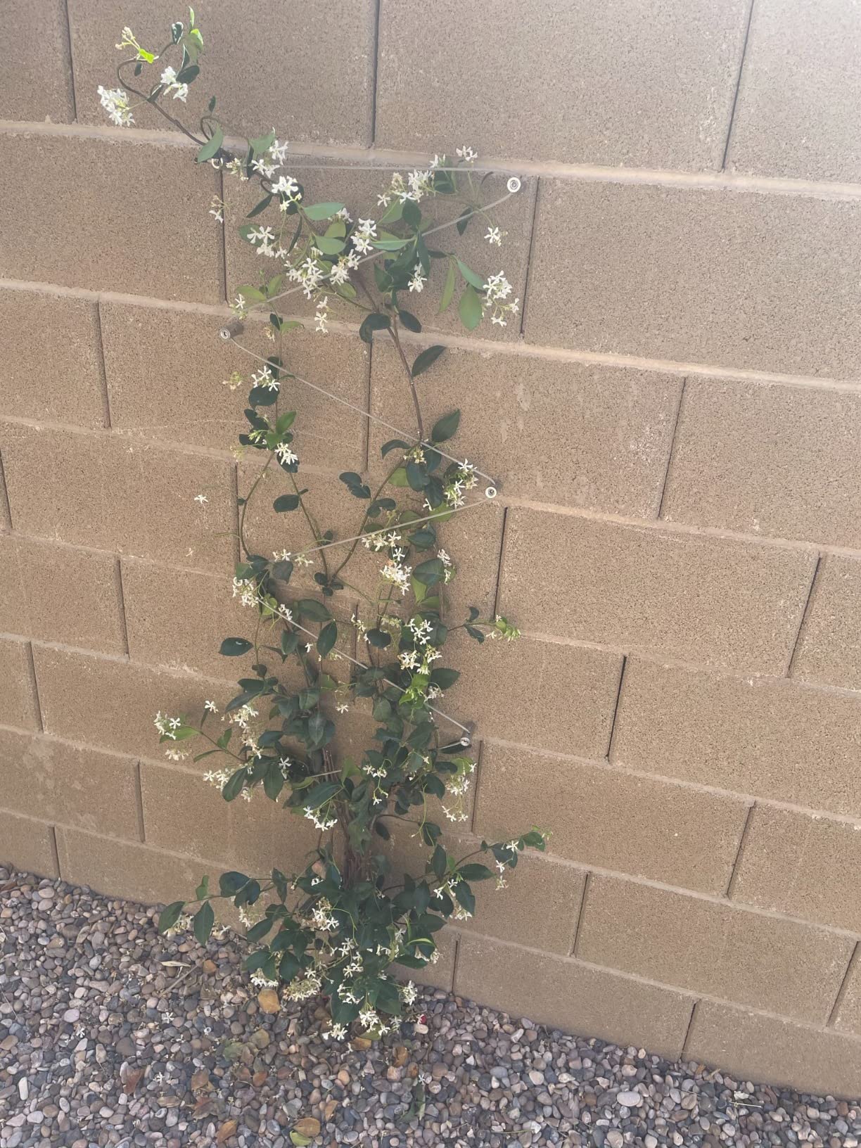 BLACK+DECKER Hammer Drill, 6.5-Amp, 1/2-Inch (BEHD201) customer photo 2