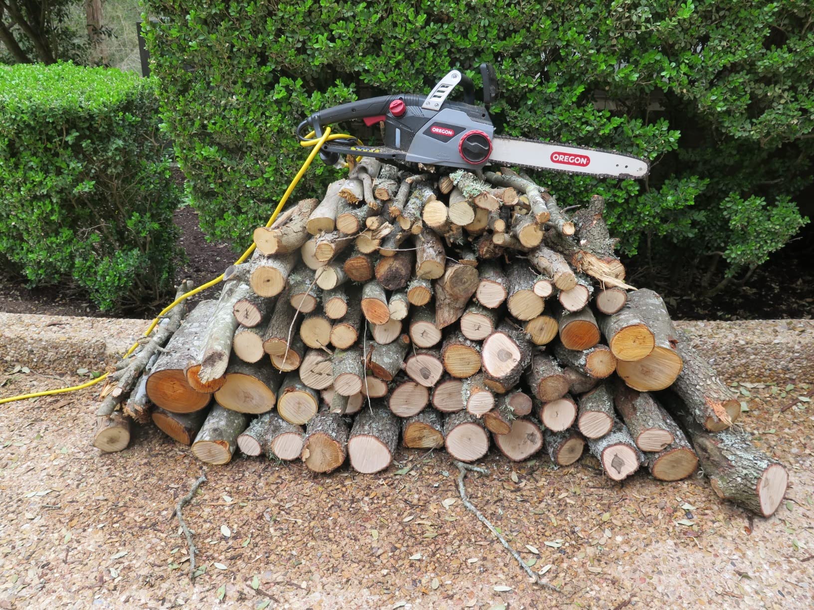 Oregon CS1400 15 Amp Electric Chainsaw, Powerful Corded Electric Saw with 16-Inch Guide Bar & ControlCut Saw Chain, Quiet & Low Kickback, 2-Year Warranty (603348) customer photo 1