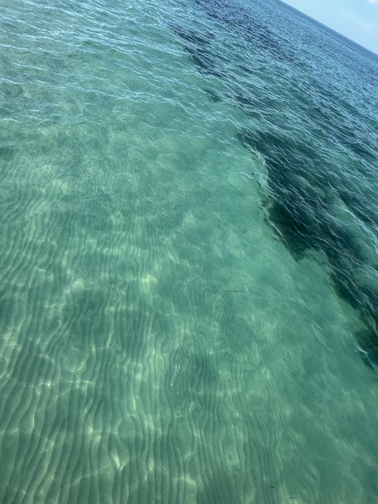 Greatever Dry Snorkel Set, Panoramic Wide View Anti-Fog Scuba Diving Mask, Professional Snorkeling Gear for Adults Kids customer photo 1