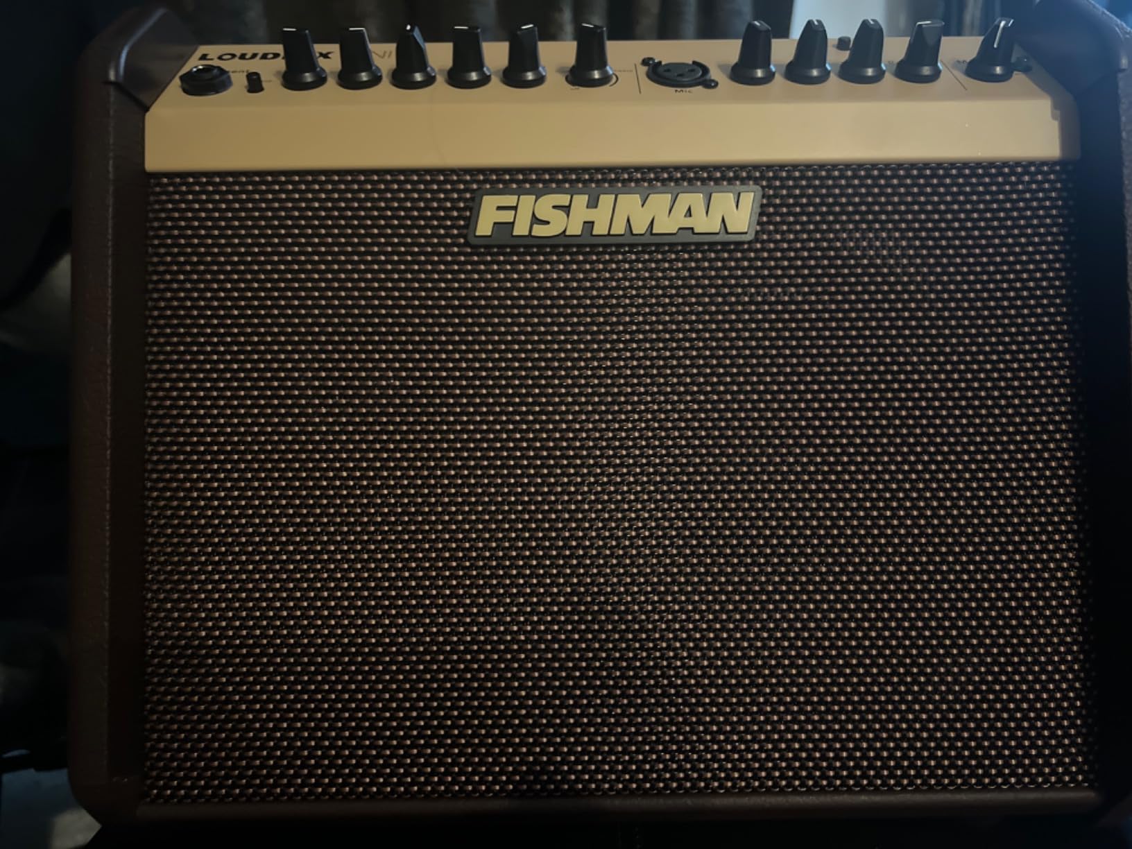 Fishman Loudbox Mini BT 60-Watt 1x6.5 Inches Acoustic Combo customer photo 1