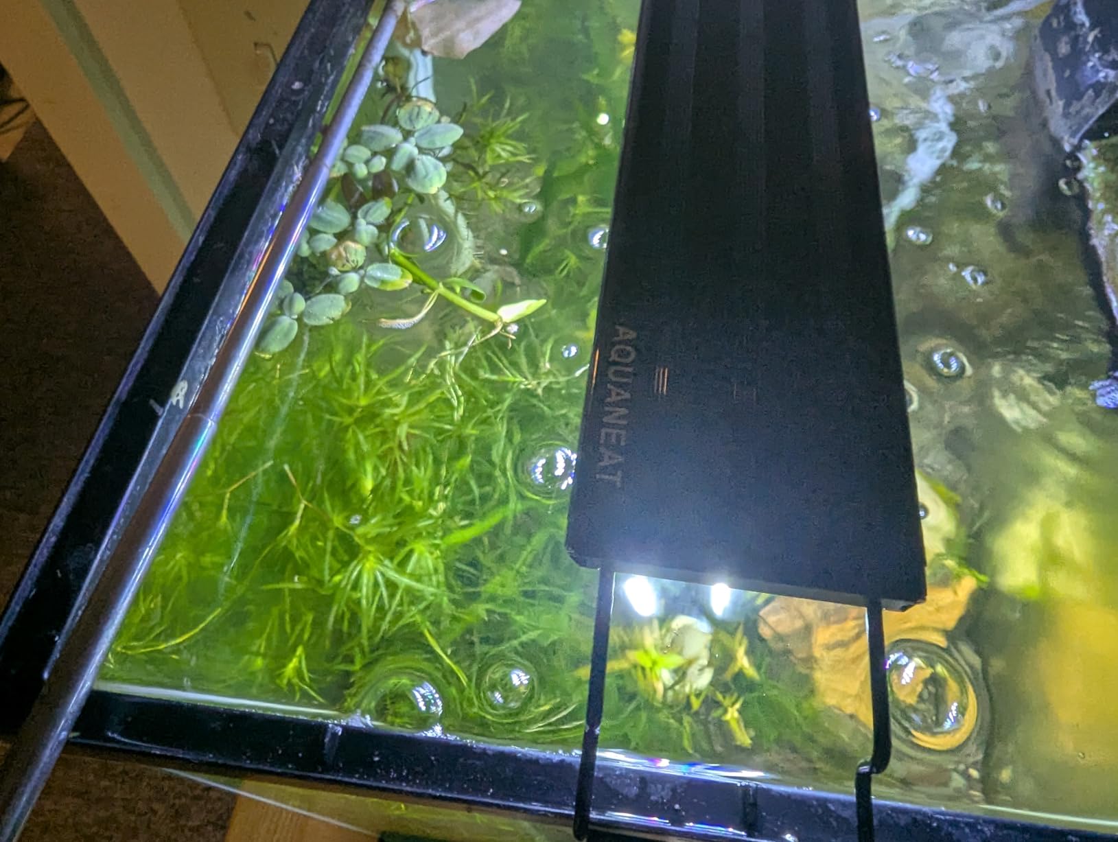 AQUANEAT LED Aquarium Light Full Spectrum for 48 Inch to 54 Inch Fish Tank Light Fresh Water customer photo 1