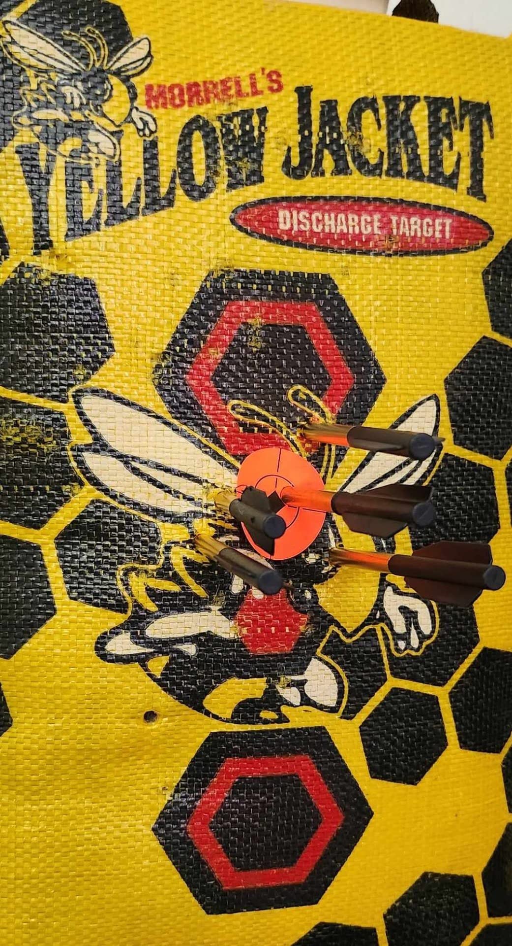 Bear X Desire RD Self-Cocking Crossbow with Red Dot Sight 3 Premium Bolts, Black, One Size customer photo 1