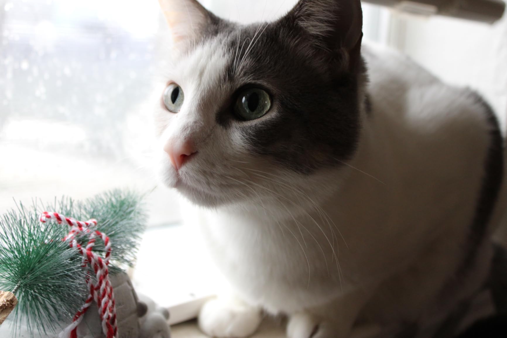 Canon EOS Rebel T7 DSLR Camera with 18-55mm Lens (Black) (Renewed) customer photo 1