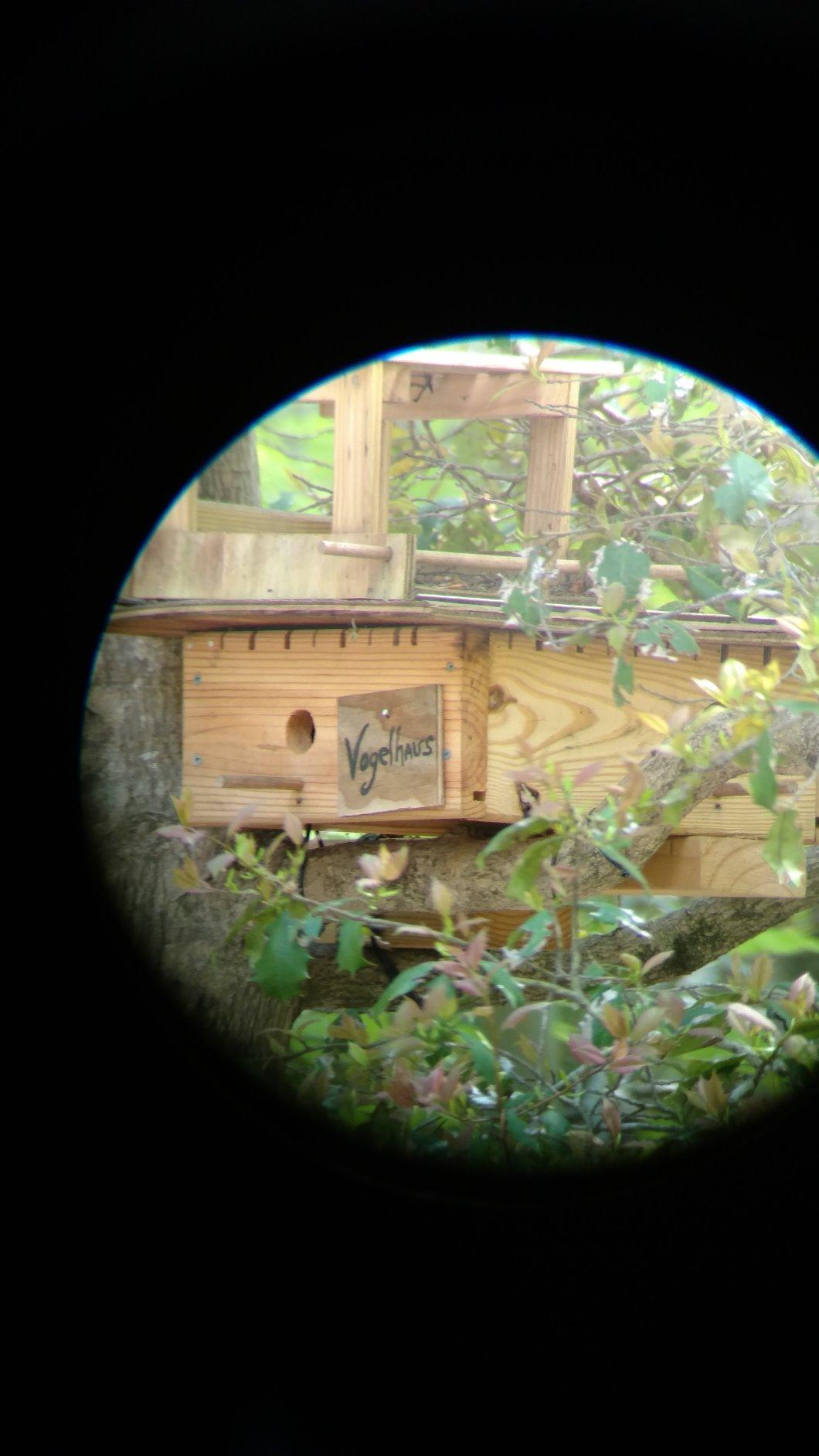 Celestron - Ultima 80 Angled Spotting Scope - 20-60x Zoom Eyepiece - Multi-Coated Optics for Bird Watching, Wildlife, Scenery and Hunting - Includes Soft Carrying Case and Smartphone Adapter customer photo 1