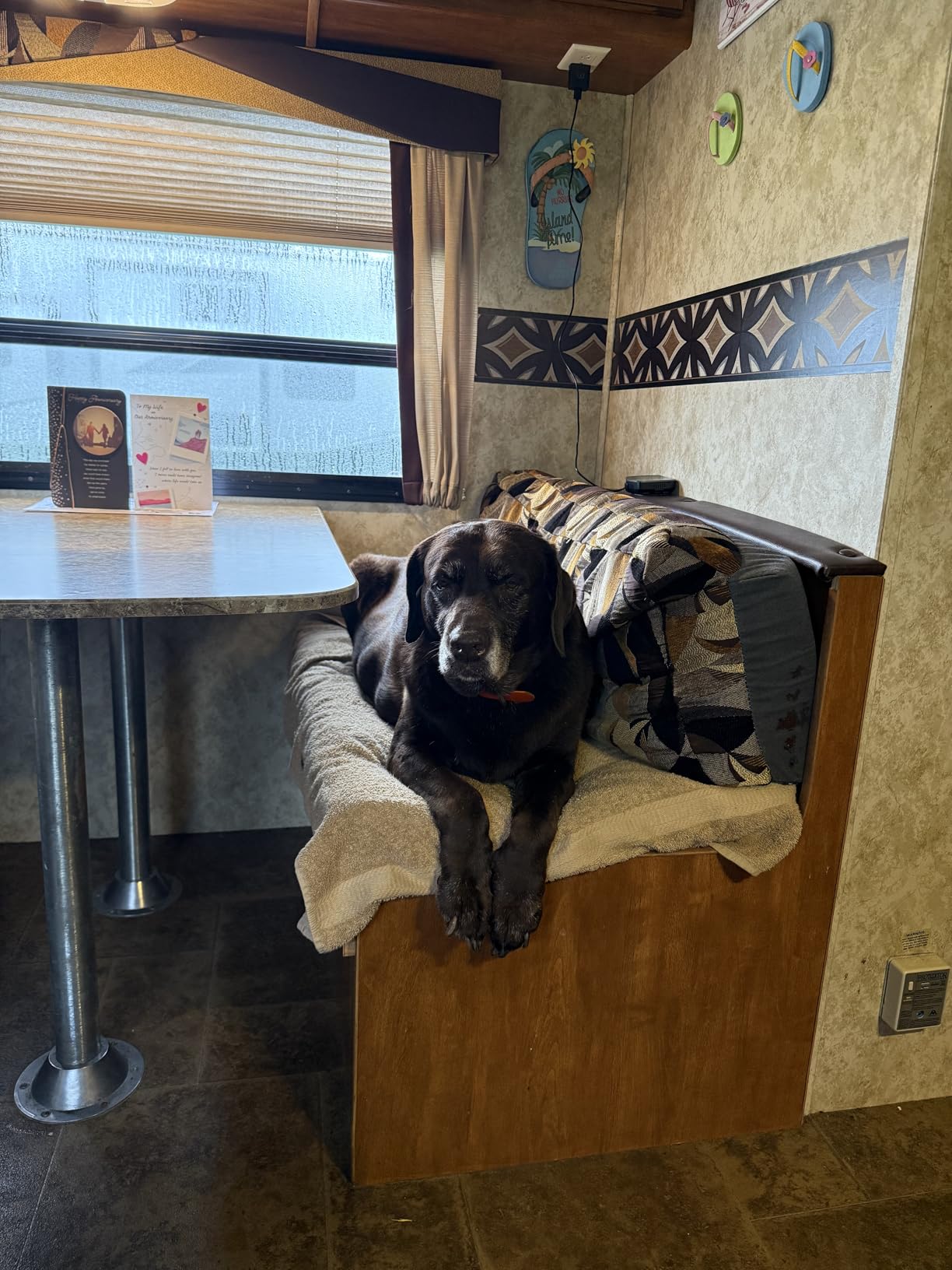 Waggle 4G Pet Temperature Monitor (Lite) - No WiFi Needed - Real Time App, SMS & Email Alerts - RV, Car & Home Safety Device - Power Outage Alerts - Subscription Required customer photo 2