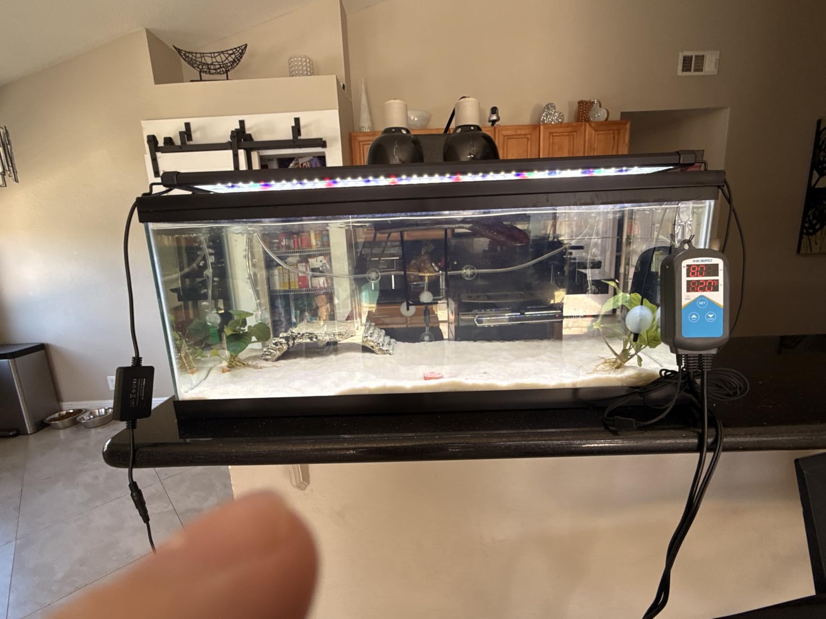 Inkbird ITC-306A WiFi Temperature Controller, Wi-Fi Aquarium Thermostat Heater Controller 120V~1200W Temperature Control with Two Probes only for Heater Aquarium Breeding Reptiles Hatching customer photo 1