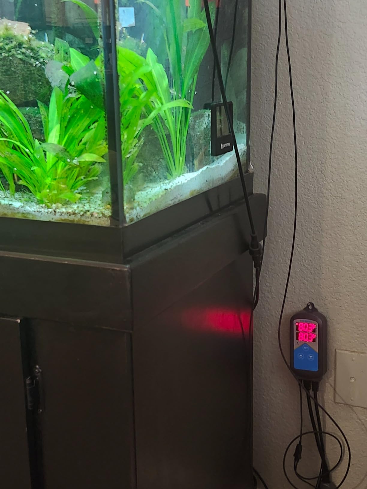 Inkbird ITC-306A WiFi Temperature Controller, Wi-Fi Aquarium Thermostat Heater Controller 120V~1200W Temperature Control with Two Probes only for Heater Aquarium Breeding Reptiles Hatching customer photo 2