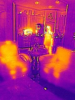 FLIR TG267 Thermal Imaging Camera with Bullseye Laser: Commercial Grade Infrared Camera for Building Inspection, HVAC and Electrical customer photo 1