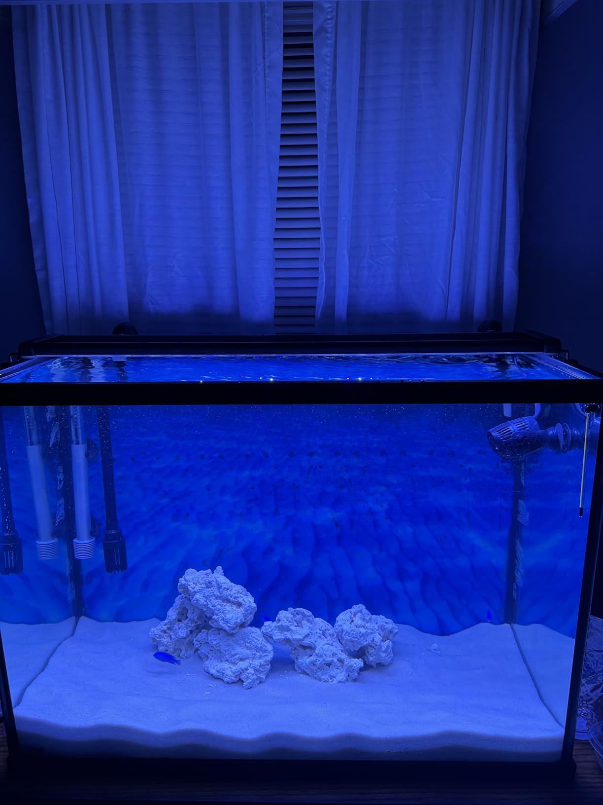 NICREW Saltwater Aquarium Light, Marine LED Fish Tank Light for Coral Reef Tanks, 2-Channel Timer Included, 30 to 36-Inch, 32-Watt customer photo 1