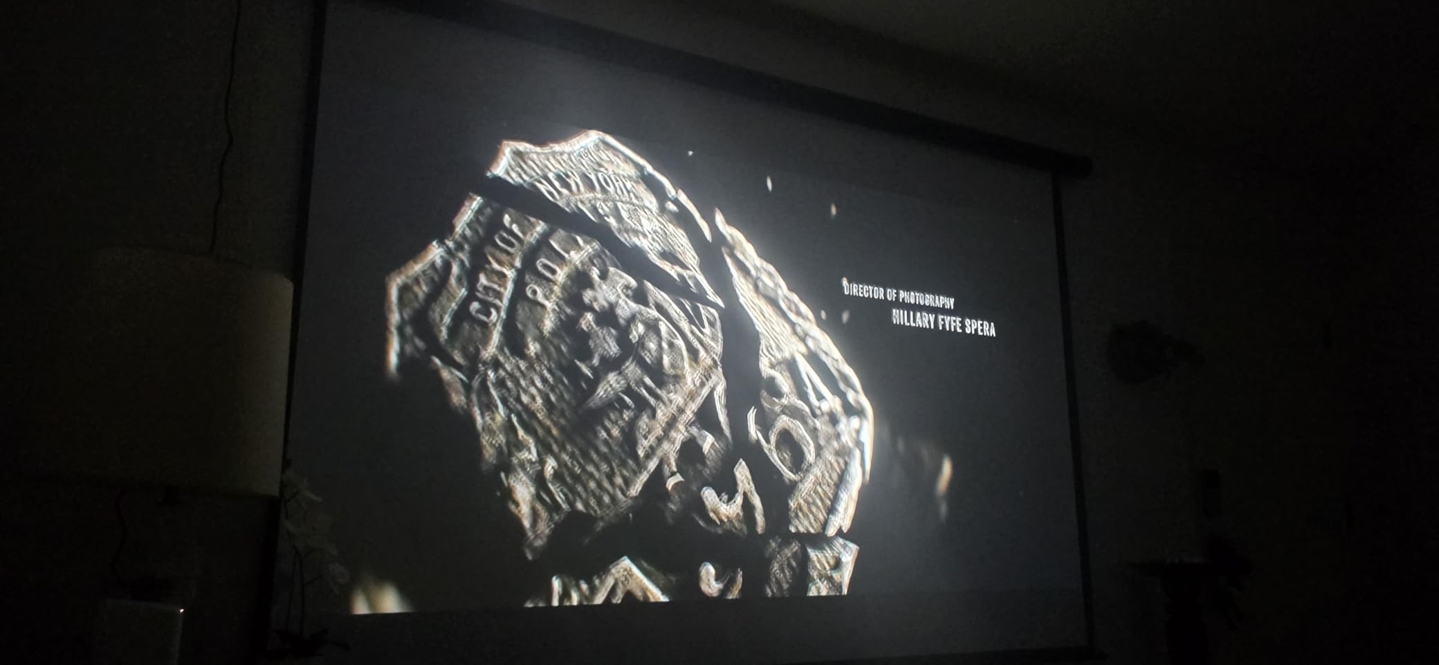 Motorized Projector Screen - Indoor and Outdoor Movies Screen Electric Projector Screen W/Remote Control (120 inch) customer photo 1