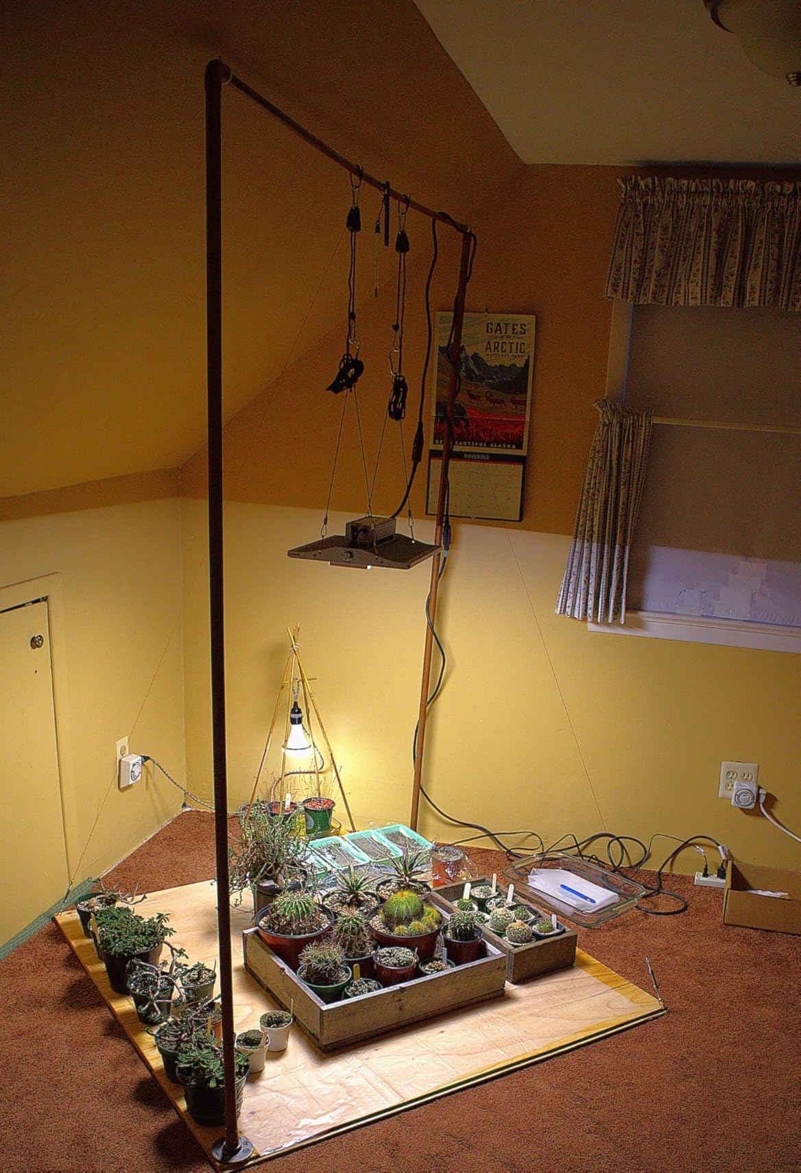 VIPARSPECTRA P2000 LED Grow Lights for Seed Starting Vegetables Bloom, 250 Watt Dimmable Plant Light Dimming Daisy Chain Grow Lights for Indoor Plants Full Spectrum in 4x2/3x3 Grow Tent customer photo 2