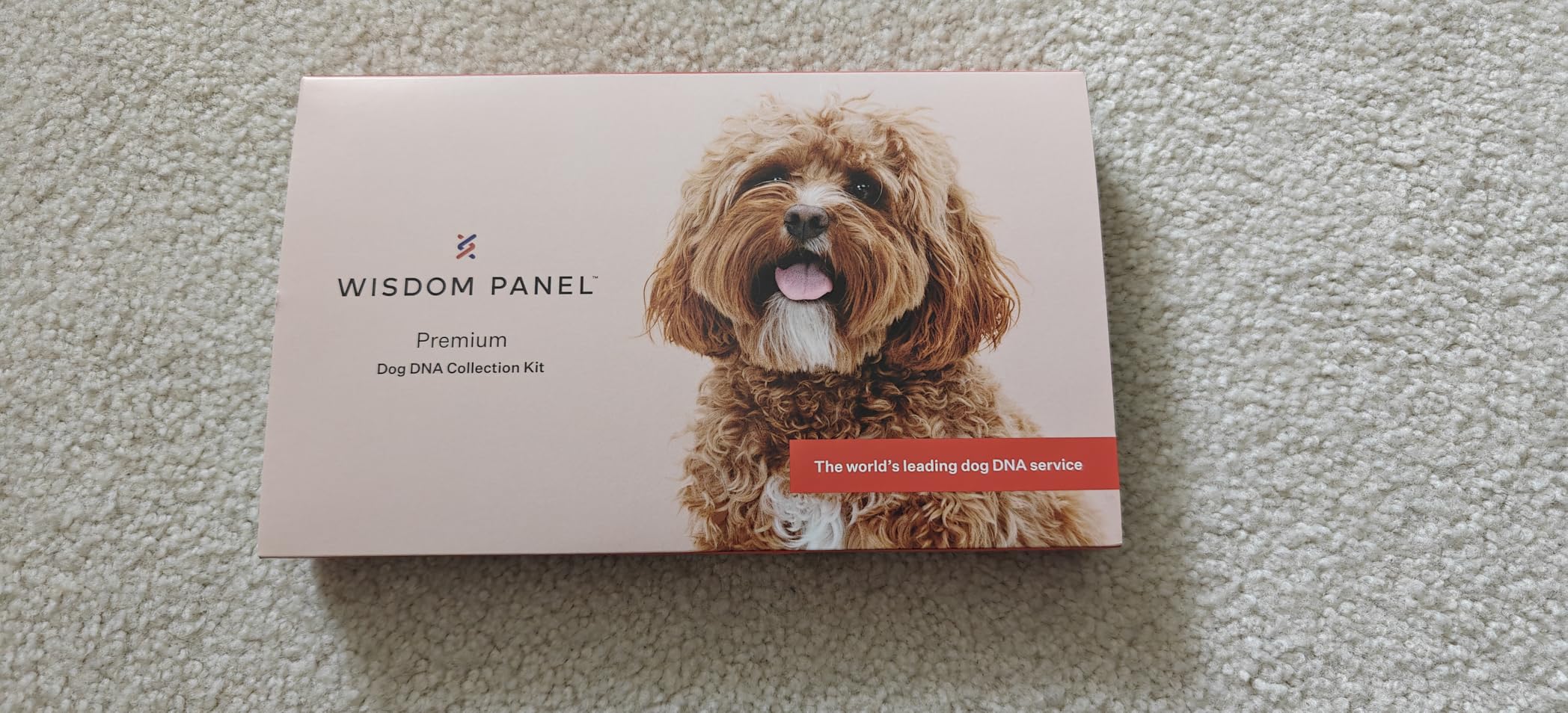 Wisdom Panel Premium Dog DNA Kit: Most Comprehensive with 265+ Health Tests, Identify 365+ Dog Breeds, 50+ Traits, Relatives, Ancestry, Genetic Diversity - Pack of 1 customer photo 2