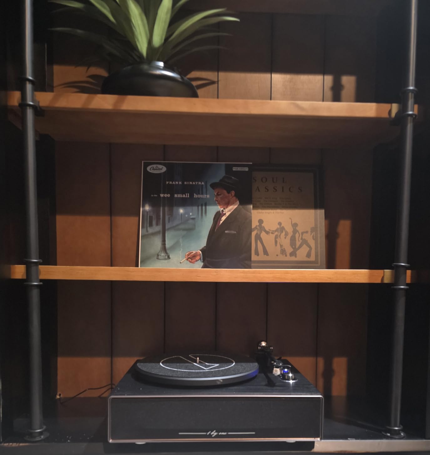 1 by ONE High Fidelity Belt Drive Turntable with Built-in Speakers, Vinyl Record Player with Magnetic Cartridge customer photo 2