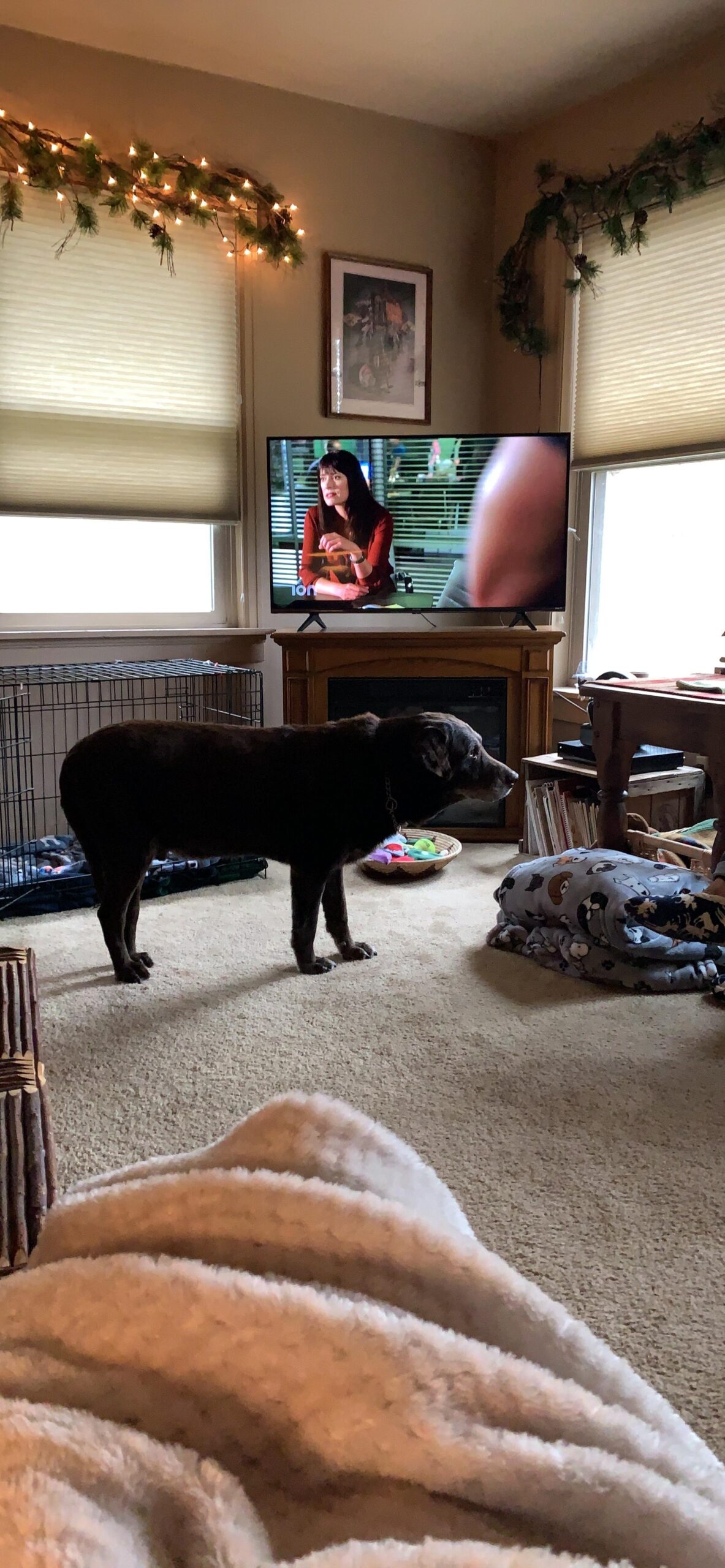 Hisense 43-Inch Class R6090G Roku 4K UHD Smart TV with Alexa Compatibility (43R6090G, 2020 Model) customer photo 1