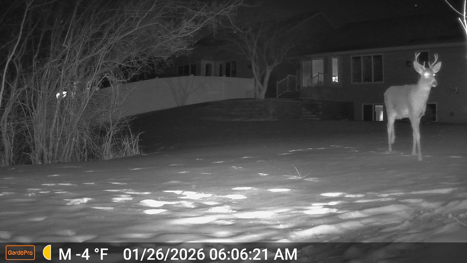 GardePro A3S Trail Camera (Non-Cellular, Non-WiFi), 64MP Photo & 1296P HD Video, 0.1s Trigger, 100ft No-Glow Night Vision, Motion Activated Wildlife Camera customer photo 2