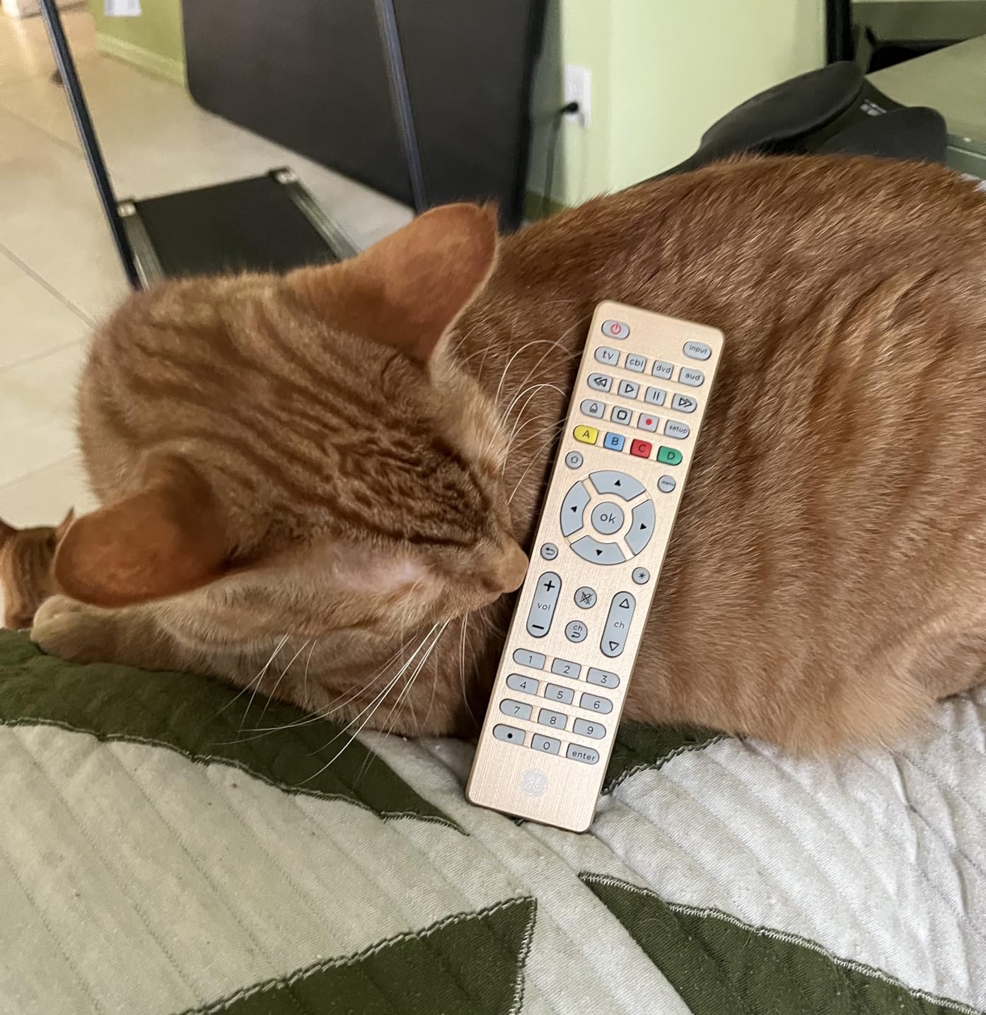 GE Backlit Buttons Universal Remote Control, Samsung Replacement, for Smart TV, Roku, Vizio, LG, Sony, Apple, 4-Device, Graphite, 48848 customer photo 1