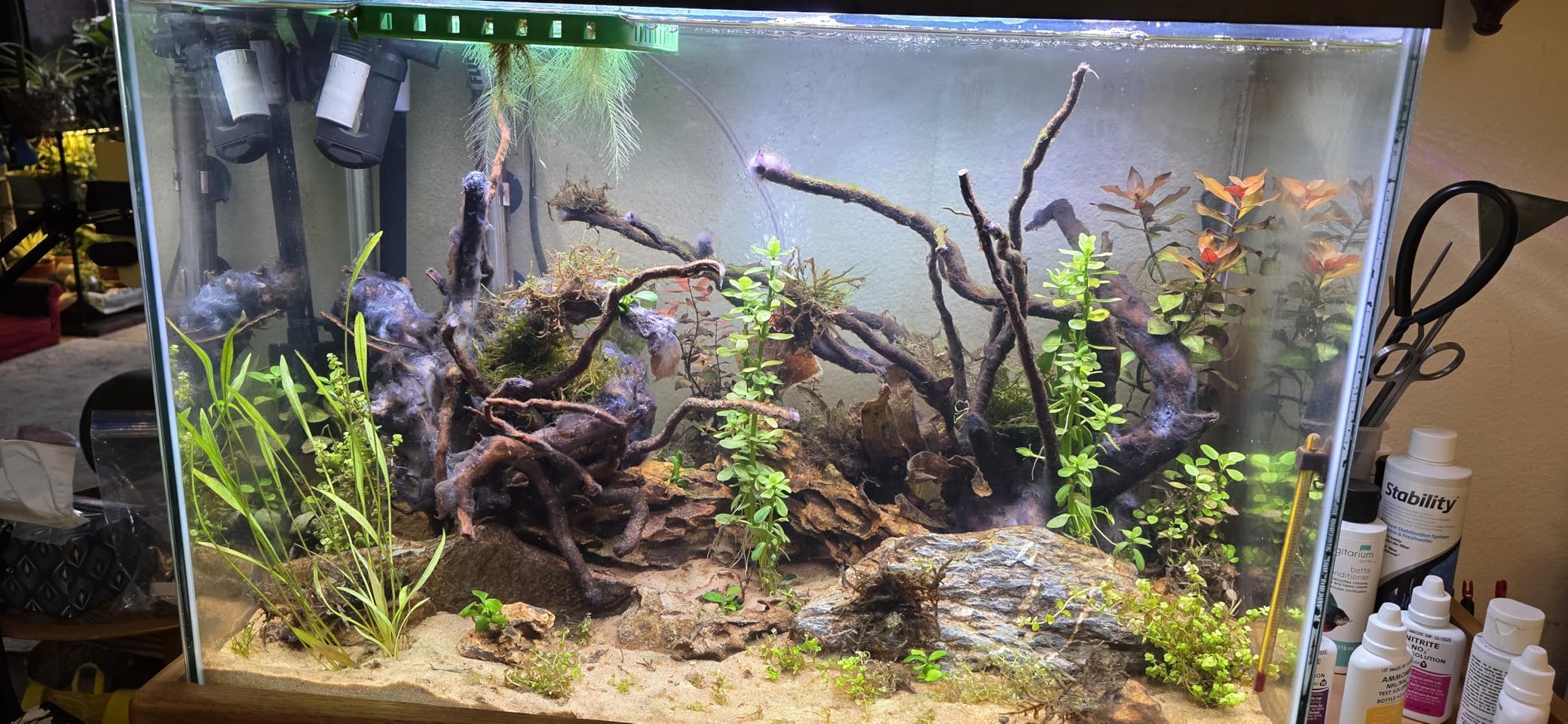 hygger Auto On Off 48-55 Inch LED Aquarium Light Extendable Dimable 7 Colors Full Spectrum Light Fixture for Freshwater Planted Tank Build in Timer Sunrise Sunset customer photo 2