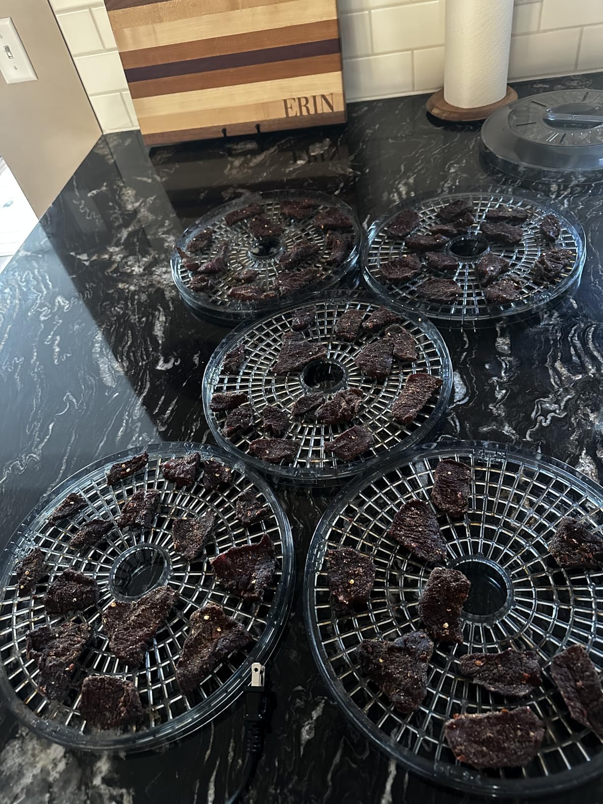 Elite Gourmet EFD319 Food Dehydrator, 5 BPA-Free 11.4