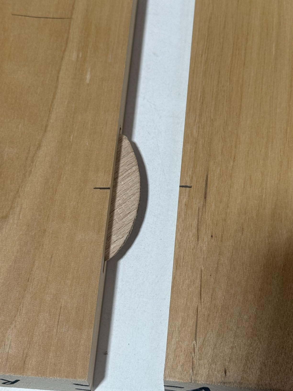 WEN JN8504 8.5-Amp Plate and Biscuit Joiner with Case and Biscuits customer photo 1