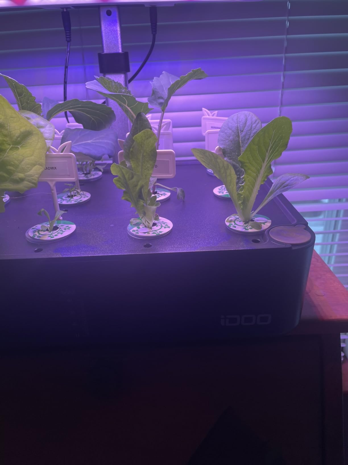 iDOO Hydroponics Growing System Kit 12Pods, Indoor Herb Garden System, with LED Grow Light, Built-in Fan, Auto-Timer, Adjustable Height Up to 11.3