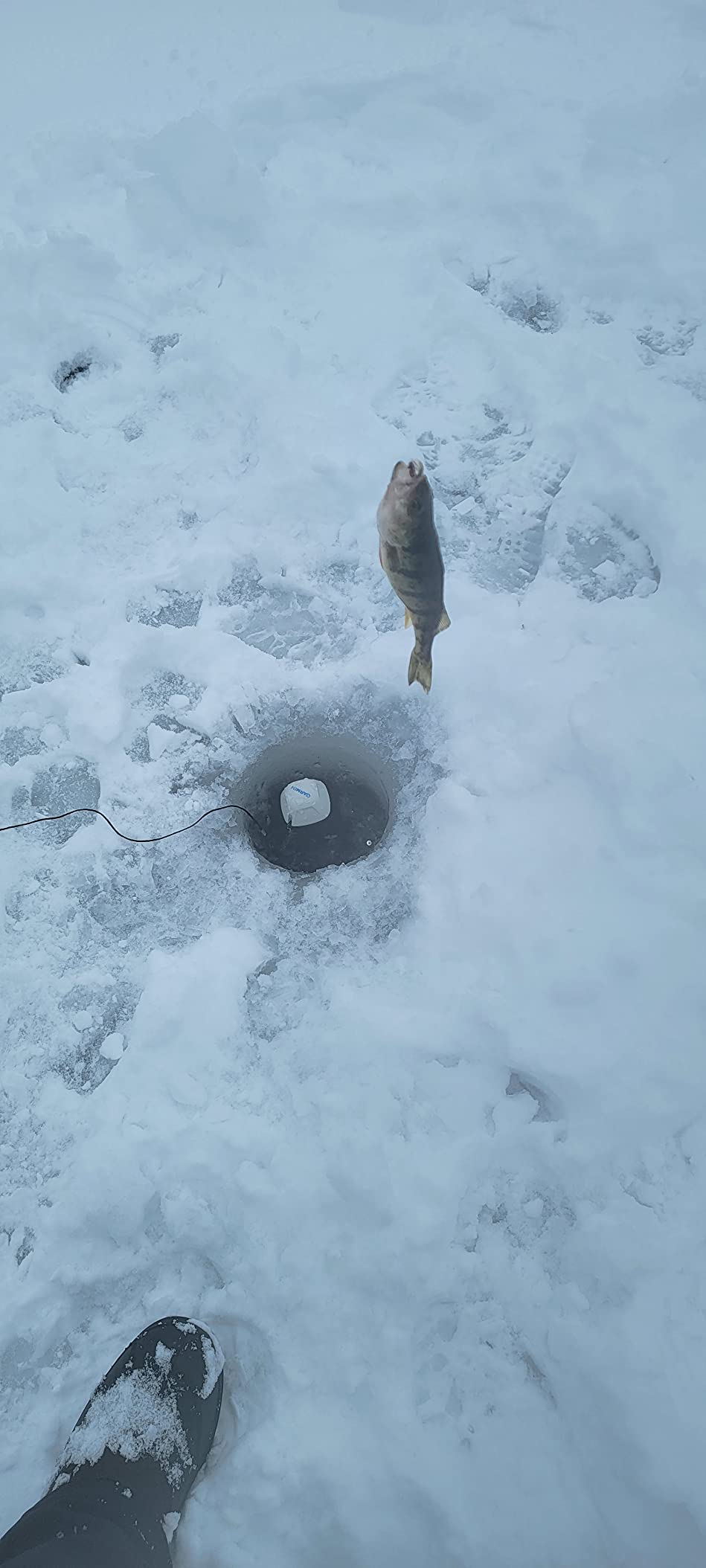 Garmin Striker Cast, Castable Sonar with GPS, Pair with Mobile Device and Cast from Anywhere, Reel in to Locate and Display Fish on Smartphone or Tablet (010-02246-02) customer photo 2