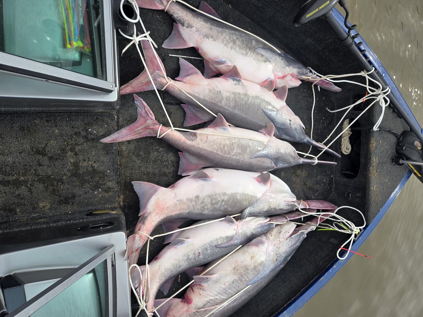 Garmin Striker Vivid 7sv, Easy-to-Use 7-inch Color Fishfinder and Sonar Transducer, Vivid Scanning Sonar Color Palettes (010-02553-00) customer photo 2