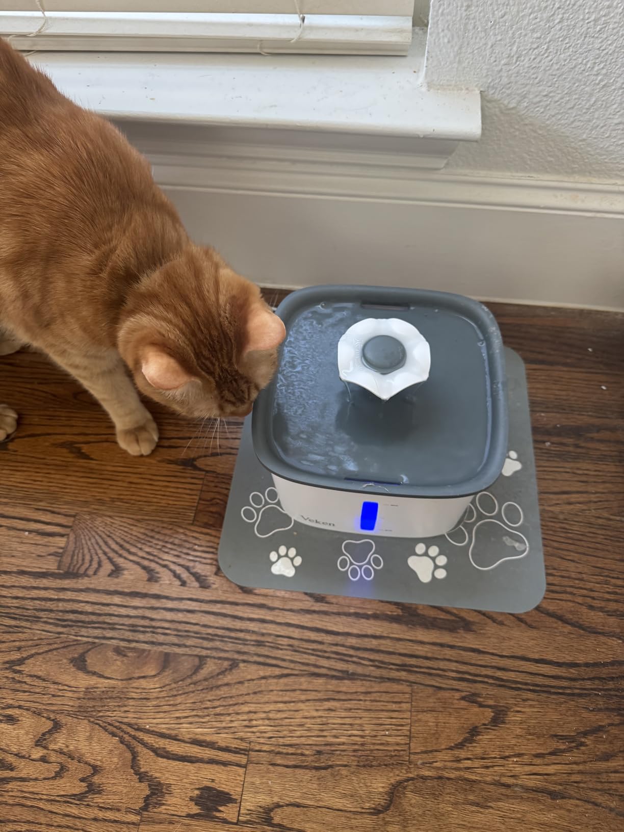 Veken Innovation Award Winner 95oz/2.8L Pet Fountain, Automatic Cat Water Fountain Dog Water Dispenser with Replacement Filters for Cats, Dogs, Multiple Pets (Grey, Plastic) customer photo 2