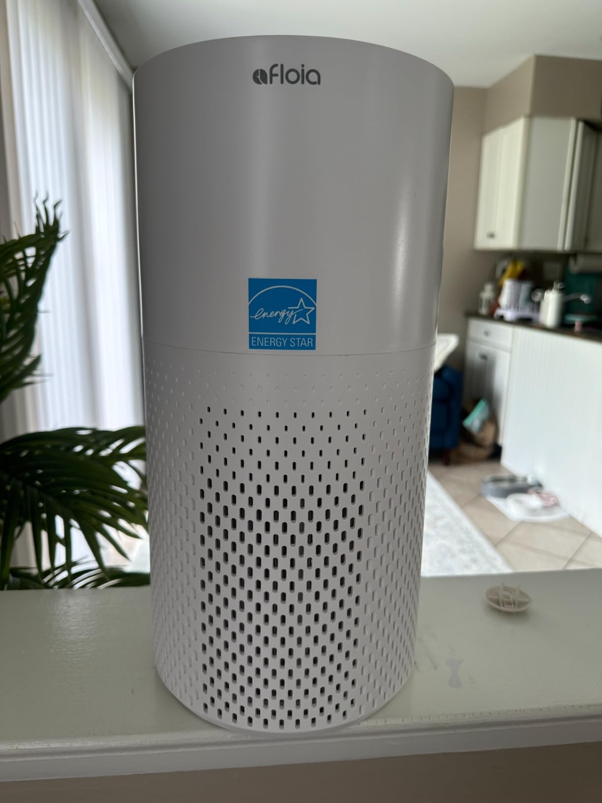 Afloia Air Purifiers for Home Bedroom Large Room Up to 1076 Feet², 3-Stage Filter Cleaner Odor Eliminator, Remove Pets Dust Dander Hair Allergy Mold Pollen Smoke Smell, Quiet 22 dB, 7 Colors Night Light customer photo 1