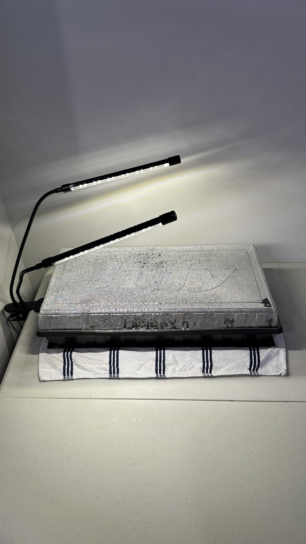 bseah Grow Light Plant Lights for Indoor Plants, Full Spectrum Plant Grow Lamp, 10 Dimmable Levels, Auto ON & Off with 3/9/12H Timer customer photo 1