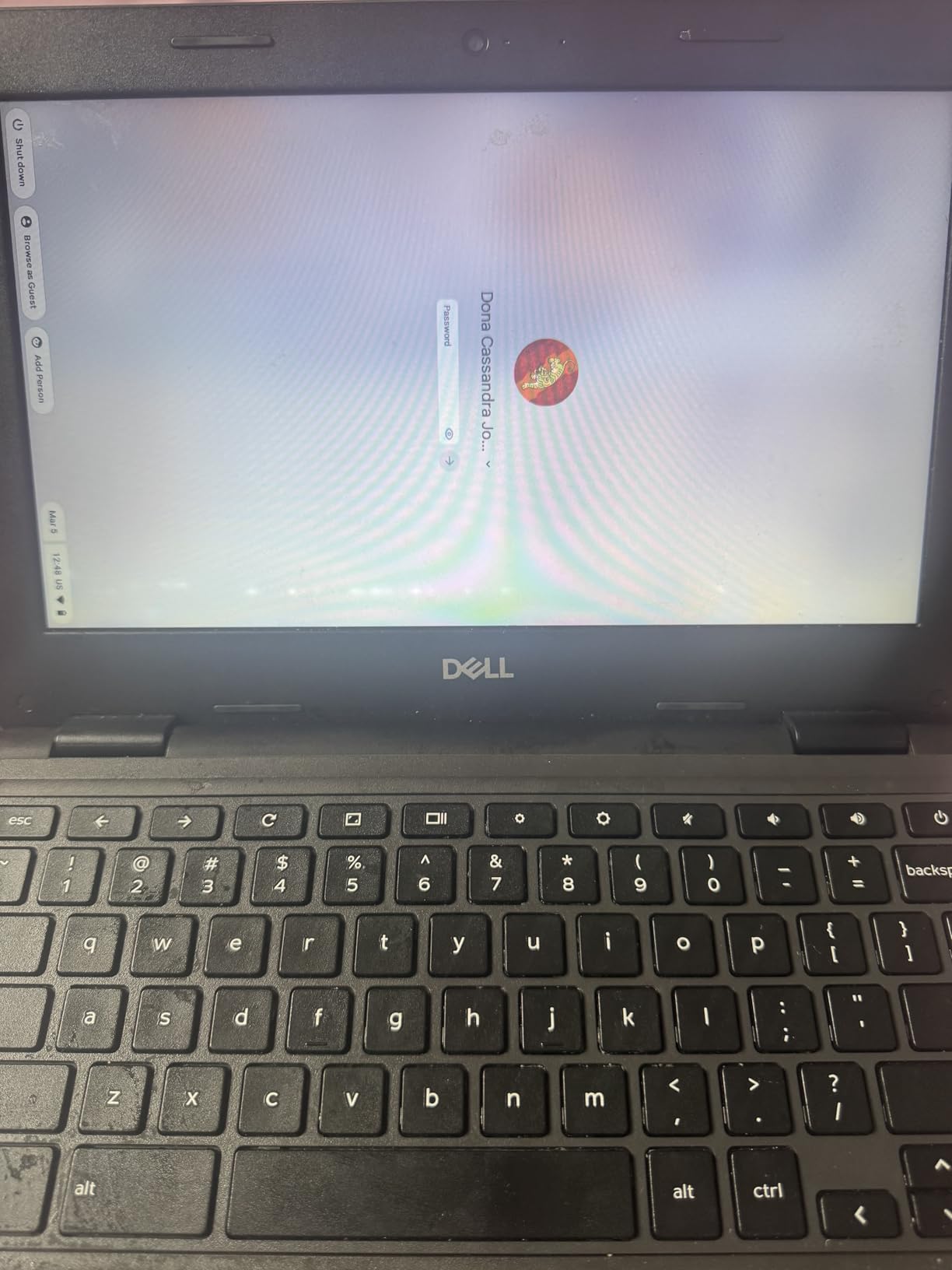 Dell Chromebook 11 3100 11.6