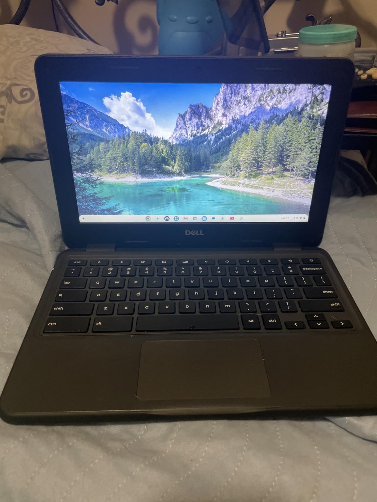 Dell Chromebook 11 3100 11.6