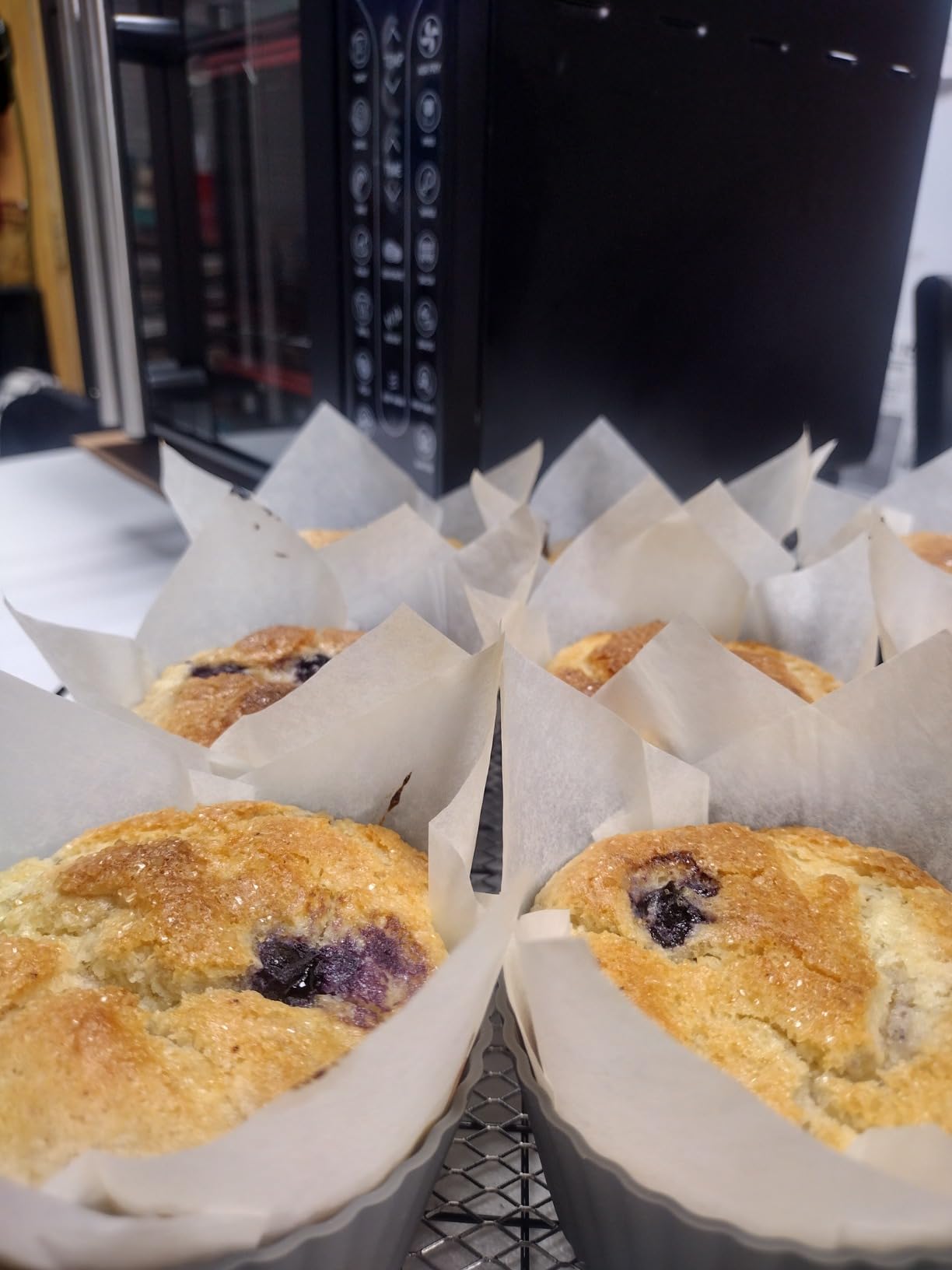 Gourmia French Door Air Fryer - 25 Qt Large Capacity Convection Oven, Fryforce 360°, Digital Display with 17 Cooking Presets, Bake, Toast, Roast, Dehydrate, Fits 12