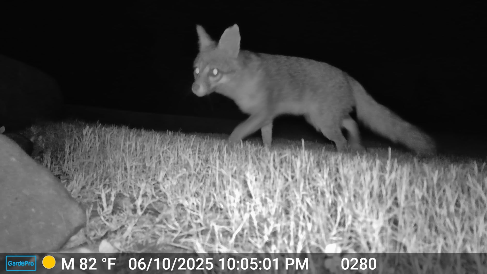 GardePro E6 WiFi Trail Camera (Non-Cellular), 64MP Photos, 1296P HD Video, App Control with Live View, 110° Wide-Angle, No-Glow Night Vision, Motion Activated customer photo 2