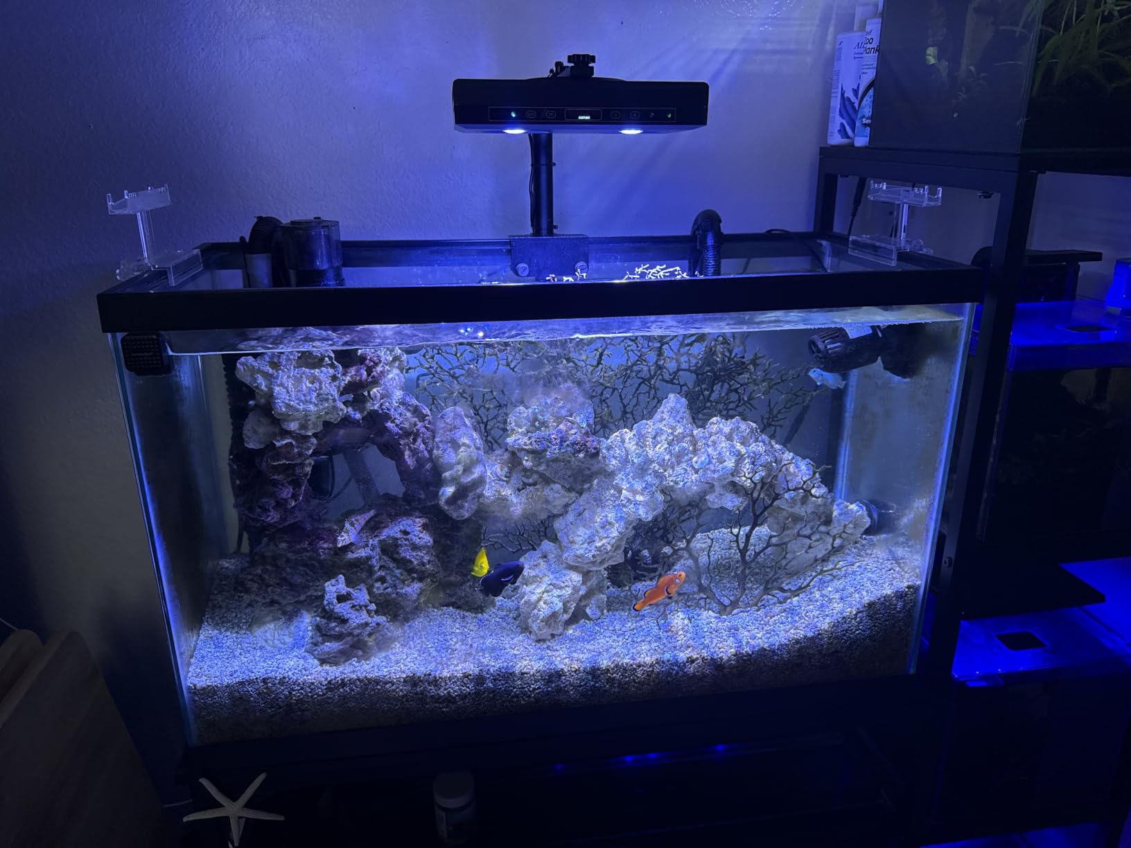 Aquarium Light - 95 Watt Sunrise Sunset Moonlight, Group Control Program Coral Reef Light Dimmable Full Spectrum for Marine Tanks,Saltwater Tank Light with Timer (Brackets) customer photo 1