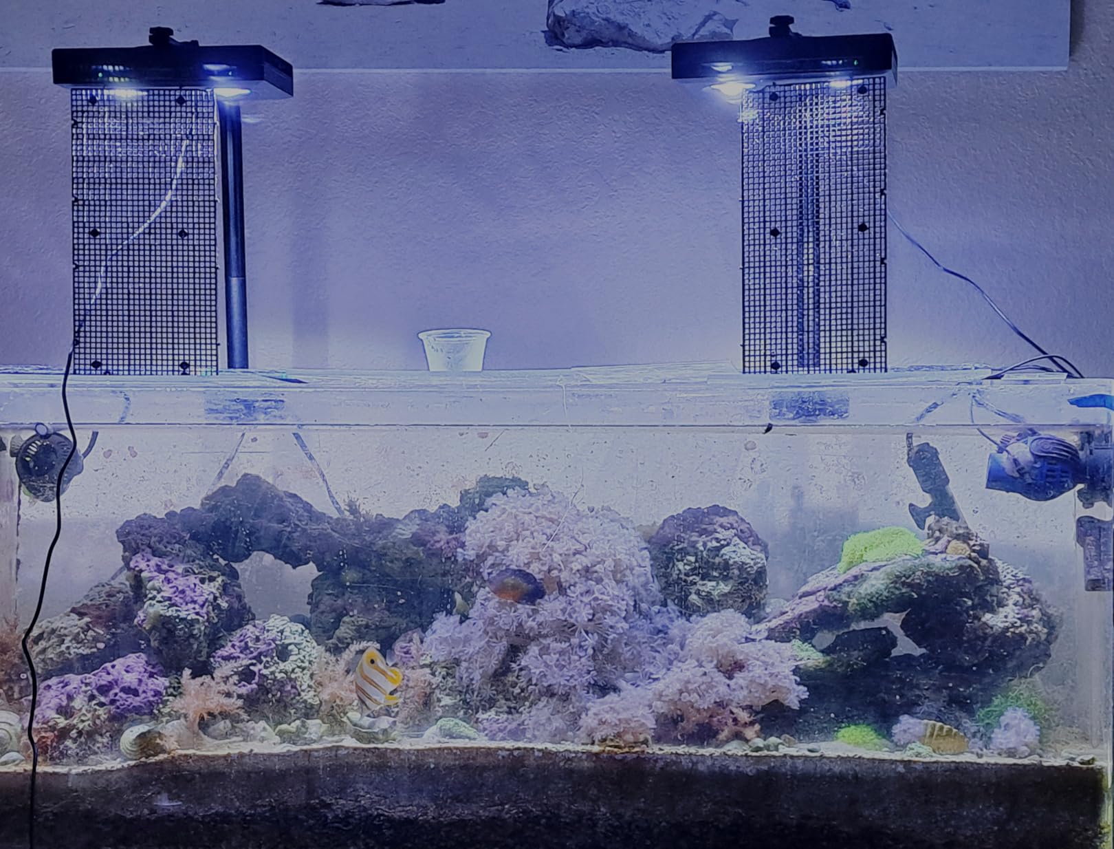 Aquarium Light - 95 Watt Sunrise Sunset Moonlight, Group Control Program Coral Reef Light Dimmable Full Spectrum for Marine Tanks,Saltwater Tank Light with Timer (Brackets) customer photo 2