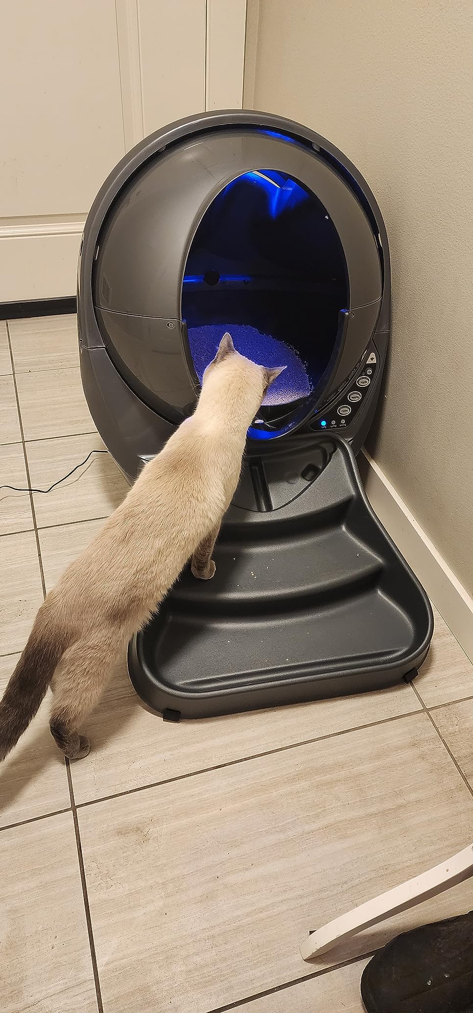 Litter-Robot 3 Connect by Whisker, Grey - Automatic, Self-Cleaning Cat Litter Box, App Control, Helps Reduce Litter Box Odors, Works with Any Clumping Litter, WhiskerCare 1-Year Warranty customer photo 1