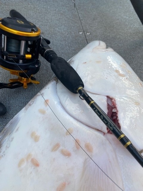 Penn Squall II Level Wind Conventional Fishing Reel customer photo 1