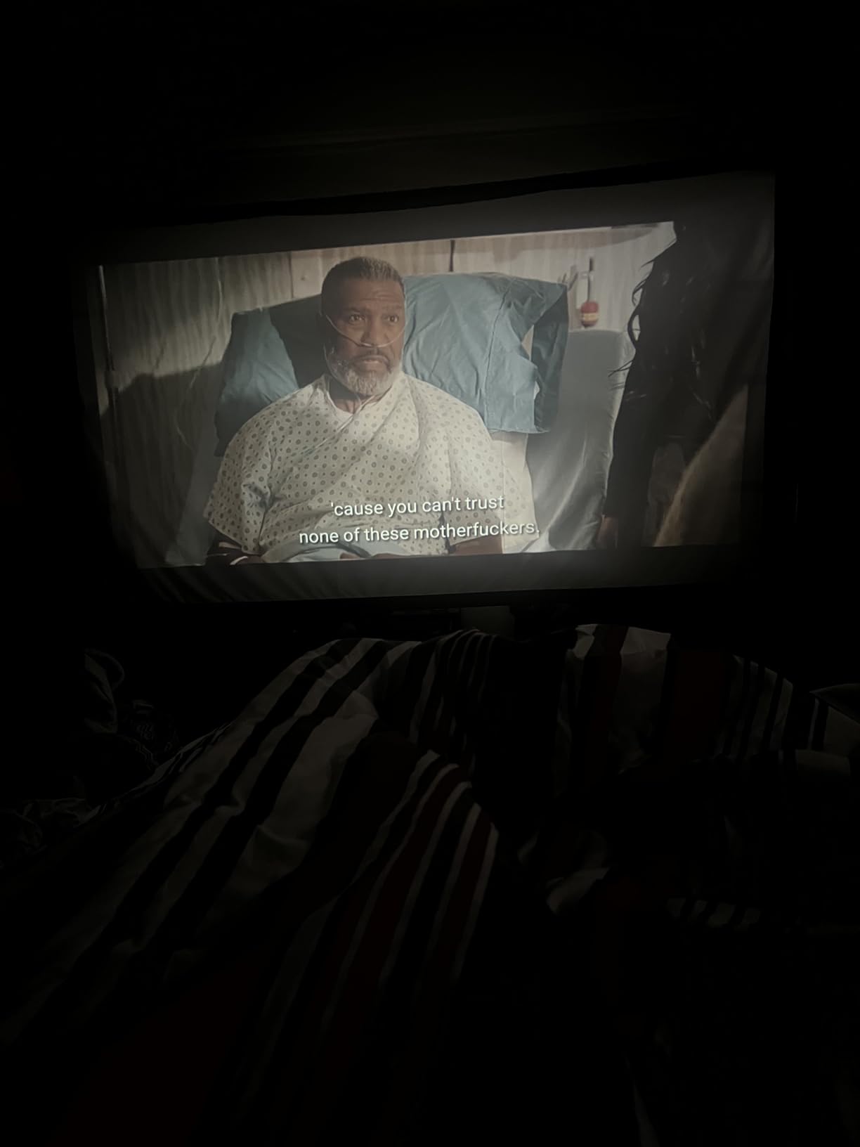 TOWOND Projector Screen and Stand, 150 inch Indoor Outdoor Projection Screen, Portable 16:9 4K HD Rear Front Movie Screen with Carry Bag Wrinkle-Free Design for Home Theater Backyard Cinema customer photo 2