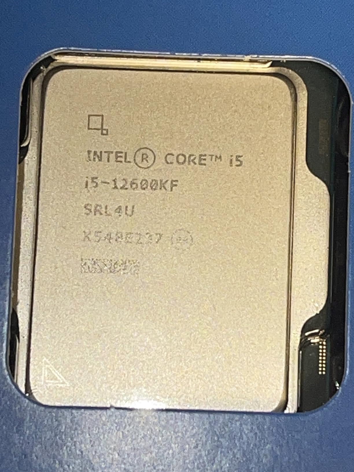 Intel Core i5-12600KF Desktop Processor 10 (6P+4E) Cores up to 4.9 GHz Unlocked LGA1700 600 Series Chipset 125W customer photo 2