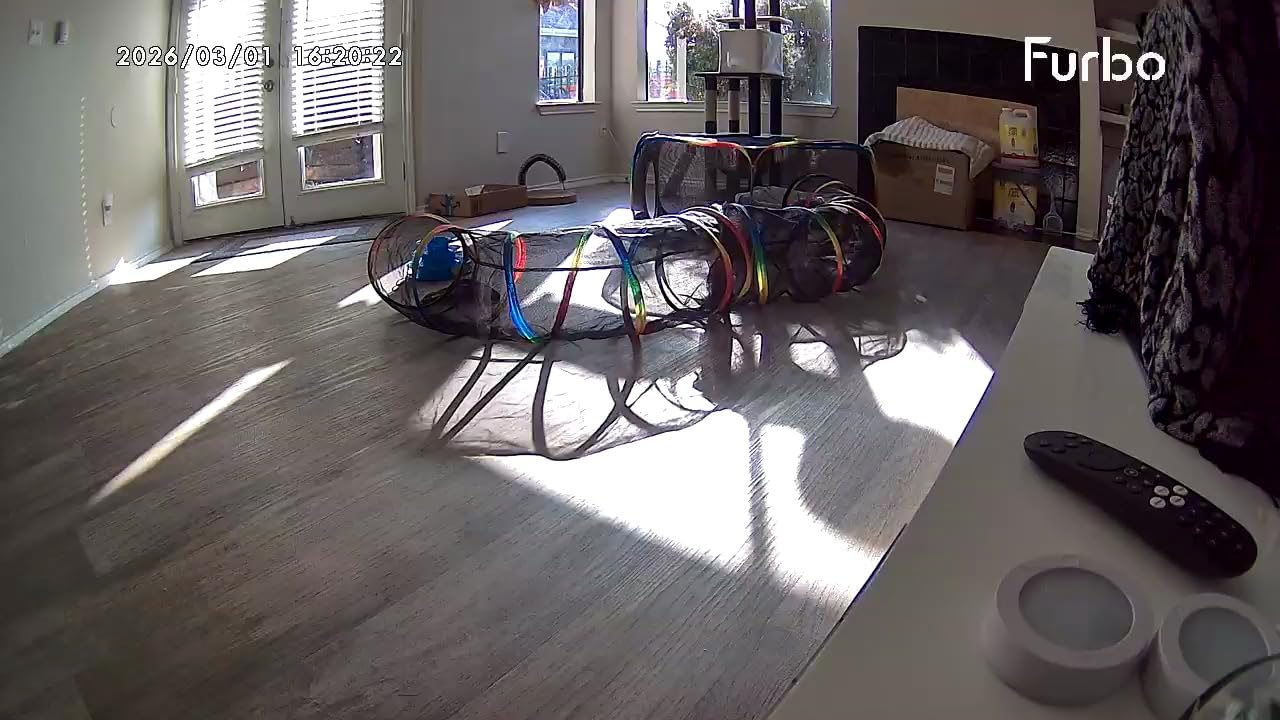 Furbo 360° Dog Camera: Pet Security Cam w/Barking Alerts, Rotating View, Treat Toss w/Phone App, Smart Home Puppy Monitoring, 2-Way Speaker, No Subscription Needed. Standard See, Talk, & Toss Features customer photo 1