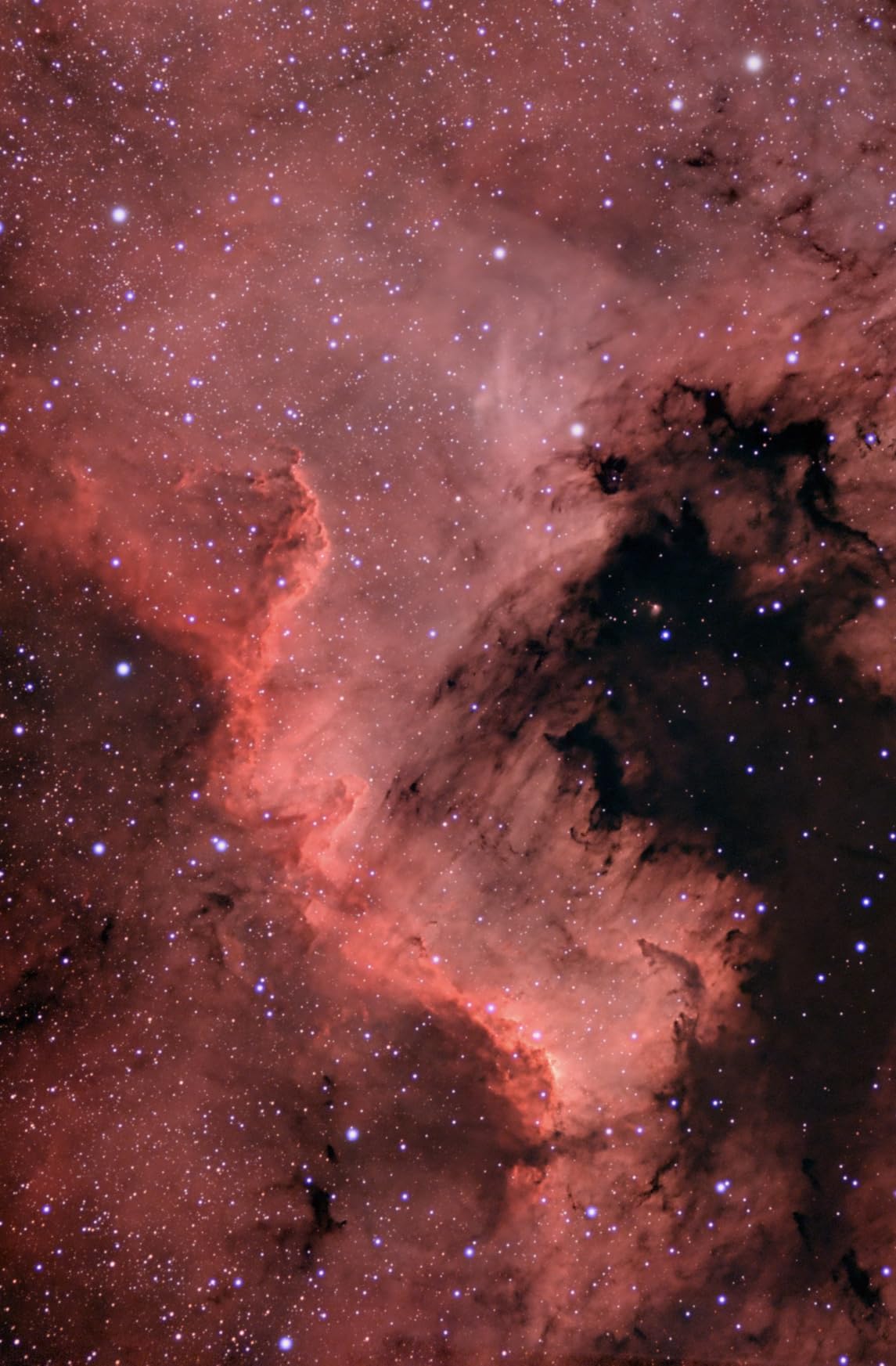 SVBONY SV405CC Cooled Telescope Camera, 11.7 MP USB3.0, BI IMX294 CMOS Color Sensor, Astrophotography Camera with AR Coating, Astronomy Electronic Eyepiece for Deep Sky Astrophotography&Lucky Imaging customer photo 1