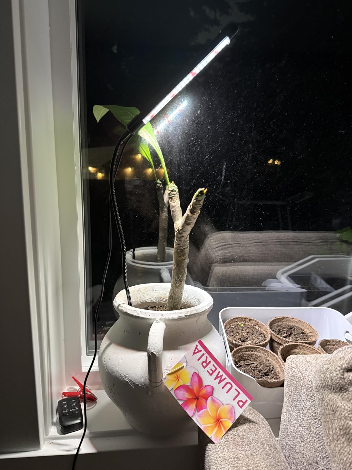 Juhefa Grow Light for Indoor Plants Growing, 6000K Full Spectrum Gooseneck Plant Lamp for Seedings Succulents Small Plants, Auto On/Off Timing & 5 Dimming, 1-Pack customer photo 2