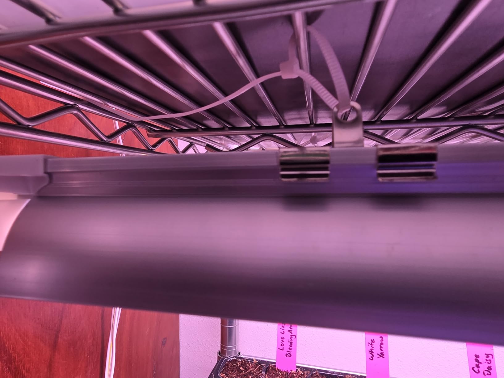 Barrina Plant Grow Lights, 4FT 5000K Full Spectrum Daylight White, 252W(6 x 42W, 1400W Equivalent), T8 LED Grow Light Strips, Growing Lamp Fixture, Plant Lights for Indoor Plants, Greenhouse, 6-Pack customer photo 2