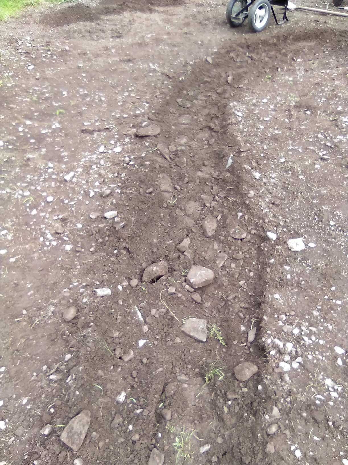 EARTHQUAKE Victory Rear Tine Tiller, Powerful 209cc 4-Cycle Viper Engine, Rugged Bronze Gear Transmission, Counter-Rotating Tines, Instant Reverse, Pneumatic Wheels customer photo 2