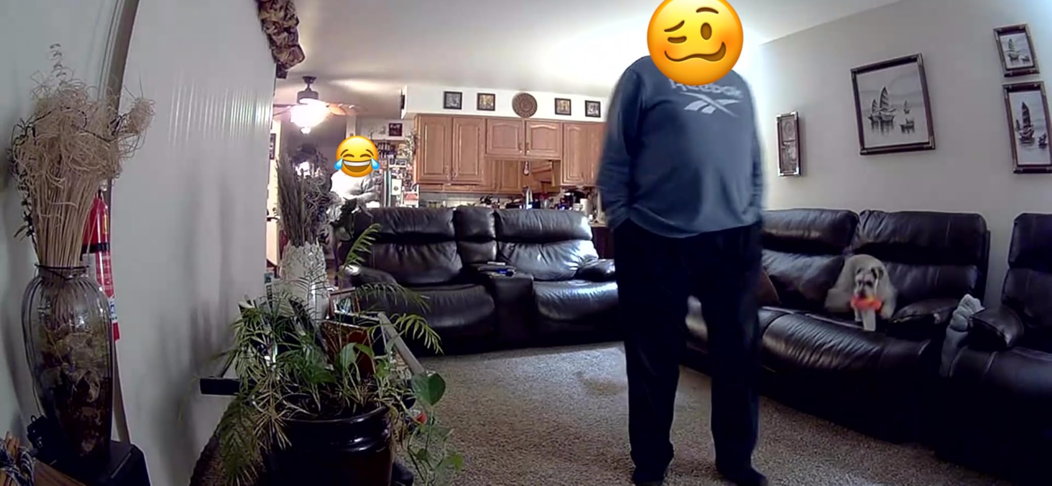 Ring Indoor Cam, Home or business security in 1080p HD video, White customer photo 1