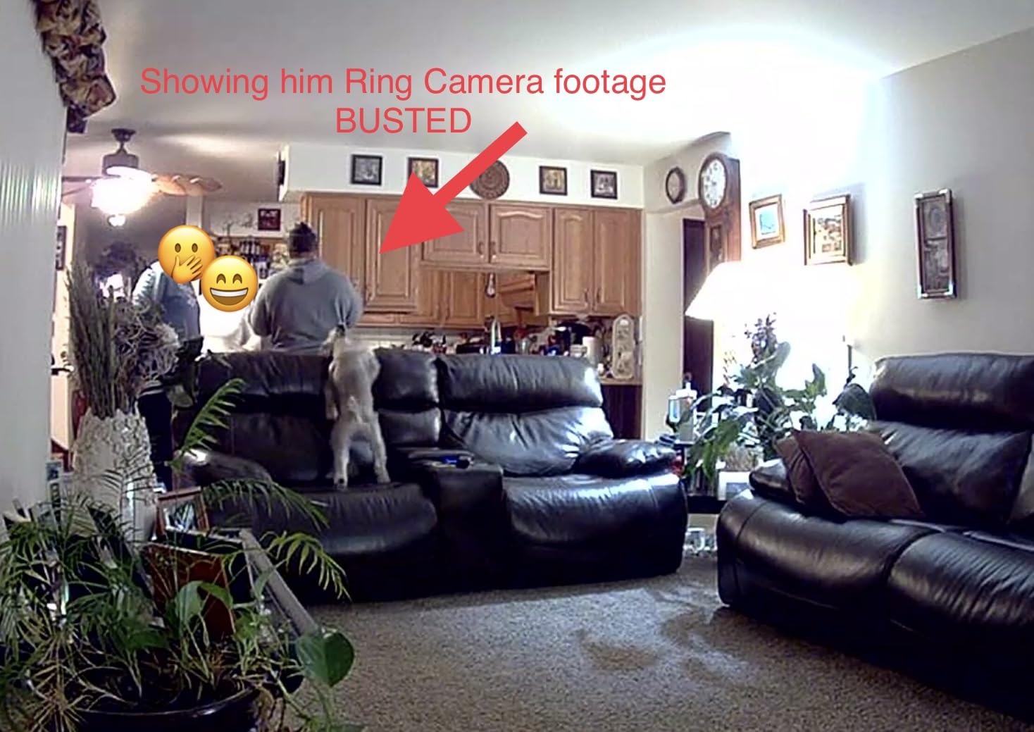 Ring Indoor Cam, Home or business security in 1080p HD video, White customer photo 2